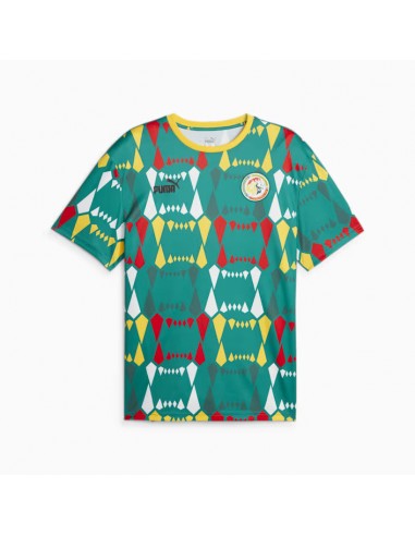 Maillot Senegal CAN 2024 FtblCulture Découvrez la collection