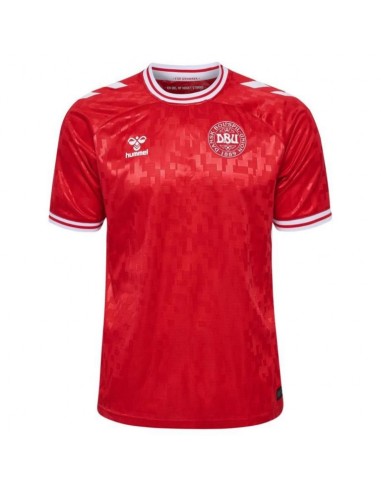 Maillot Danemark Domicile Euro 2024 brillant des détails fins